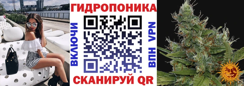 Купить закладку КОКАИН  МЕФ  A PVP  Галлюциногенные грибы  ГАШ  Каннабис  Печоры