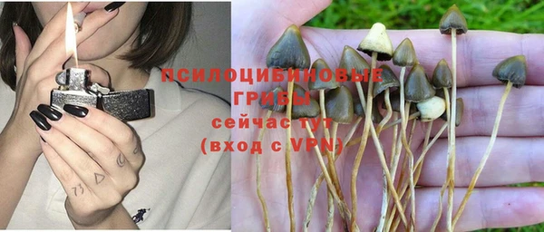 МДПВ Коряжма
