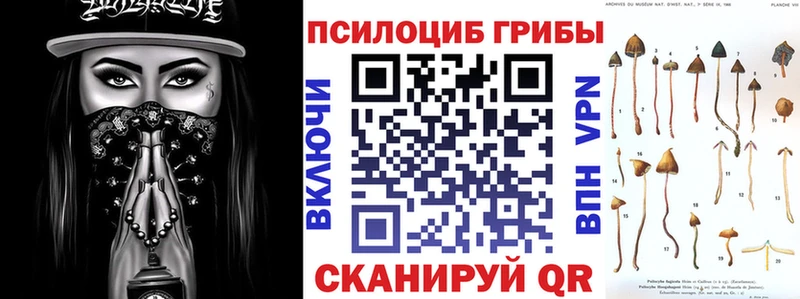 Купить где  Печоры  Псилоцибиновые грибы прущие грибы 